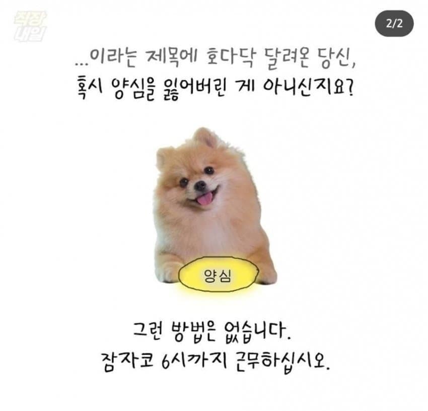 속보) 계엄령 선포로 내일 출근 불가능한 기업 리스트