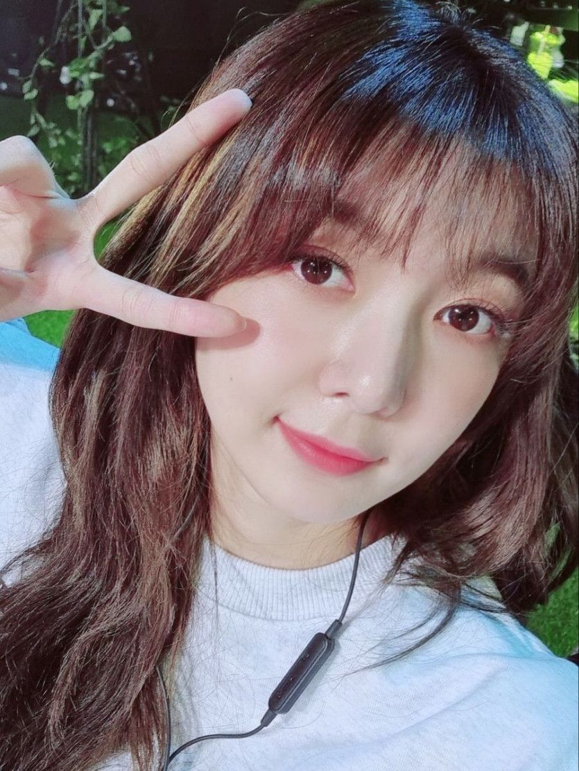 드림캐쳐 다미.jpg