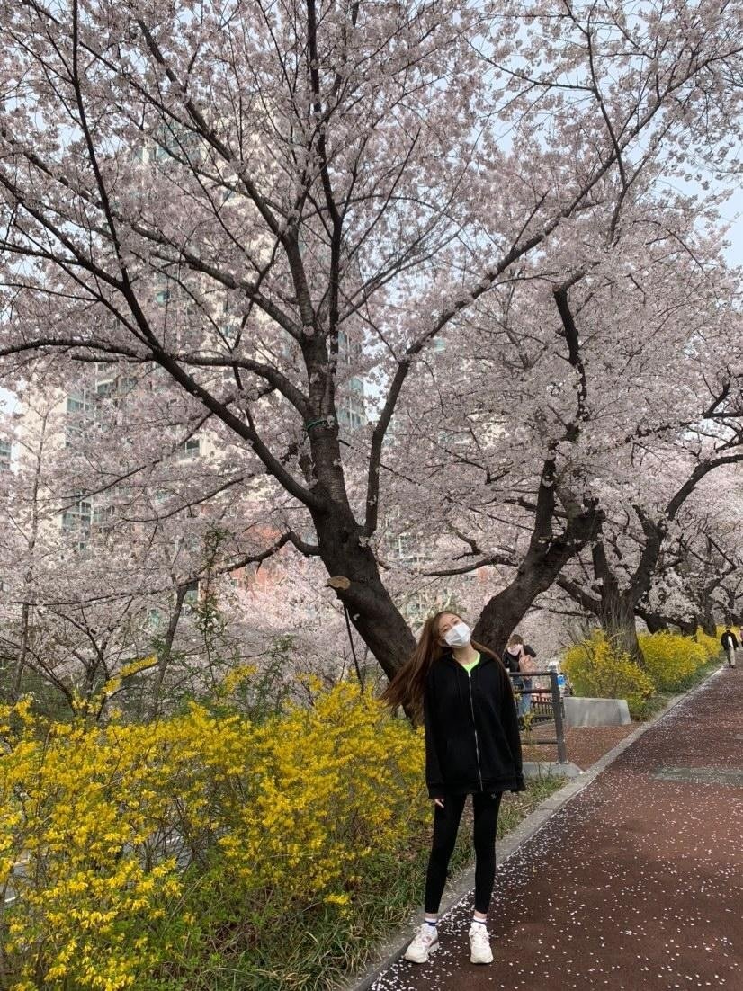 하이키 옐
