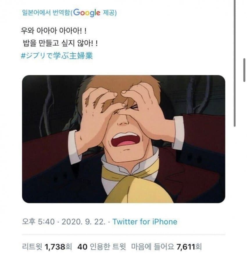 일본 유뷰녀들한테 유행했던 지브리 트윗