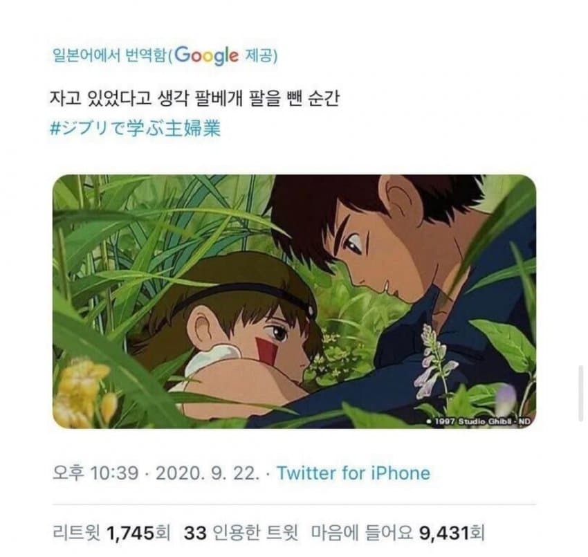 일본 유뷰녀들한테 유행했던 지브리 트윗