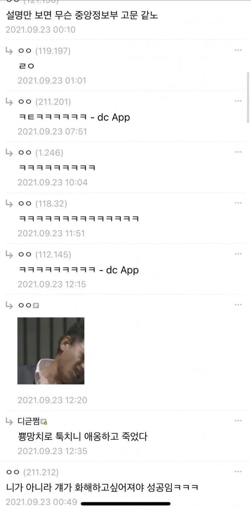 어느 디시인의 고양이 훈육 후기