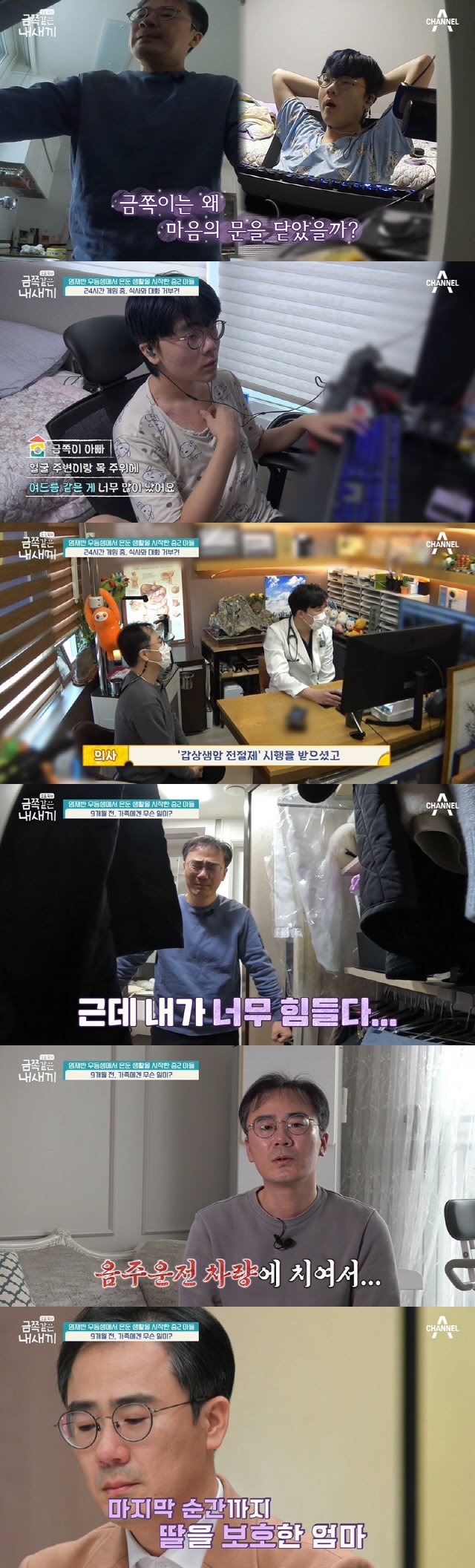 금쪽이 가장 슬펐던 에피소드 ㄷㄷㄷㄷ