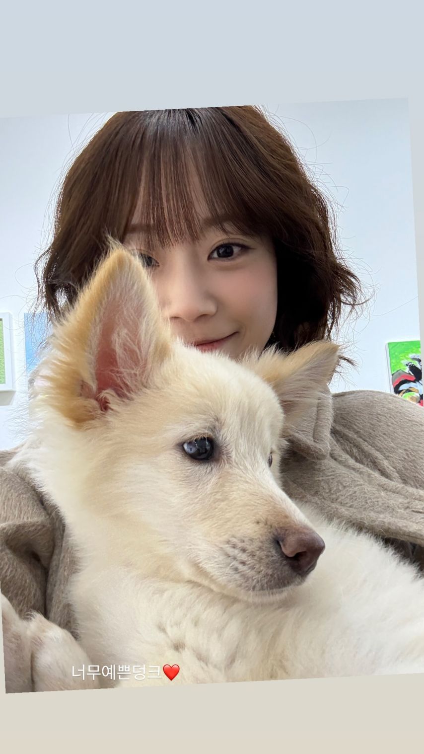 허영지
