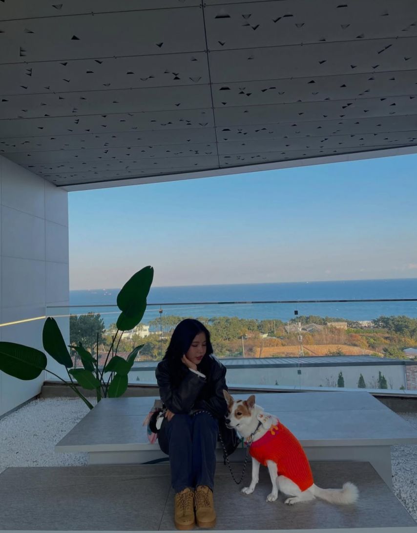 마마무 쏠라