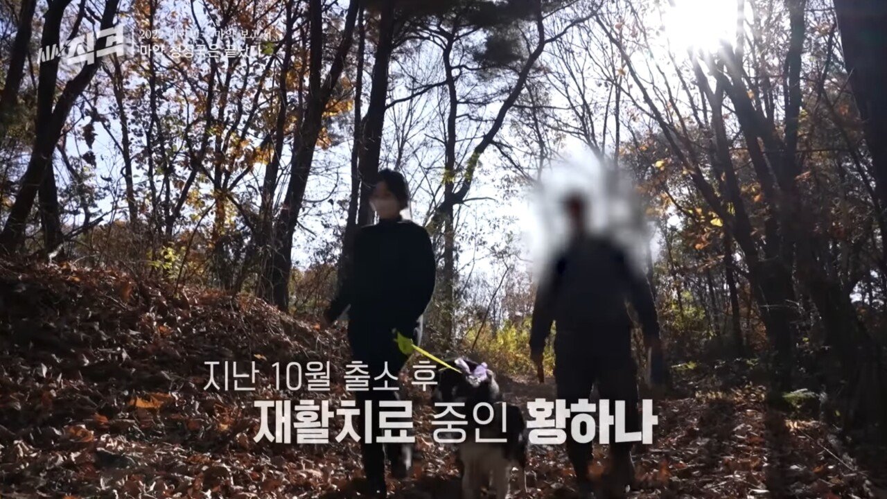 재작년 출소한 남양유업 외손녀 황하나 근황
