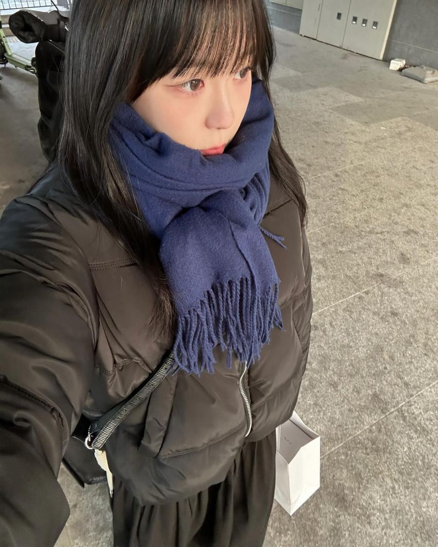 앨리스 채정