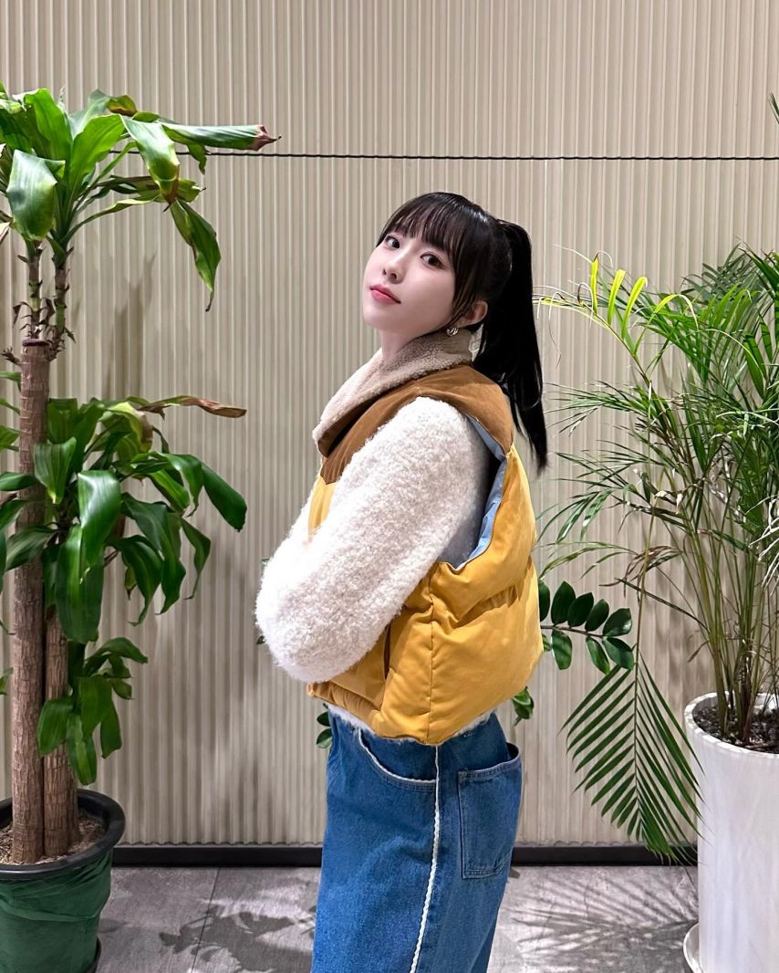 앨리스 채정