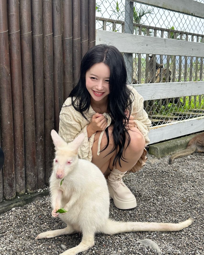이아영