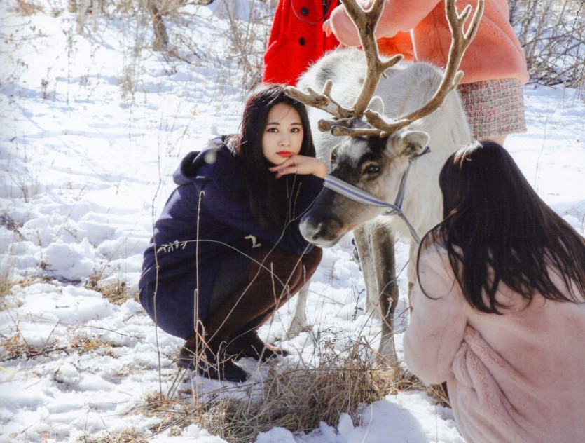 트와이스 쯔위