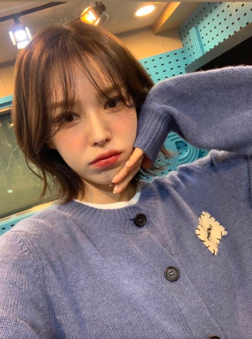레드벨벳 웬디