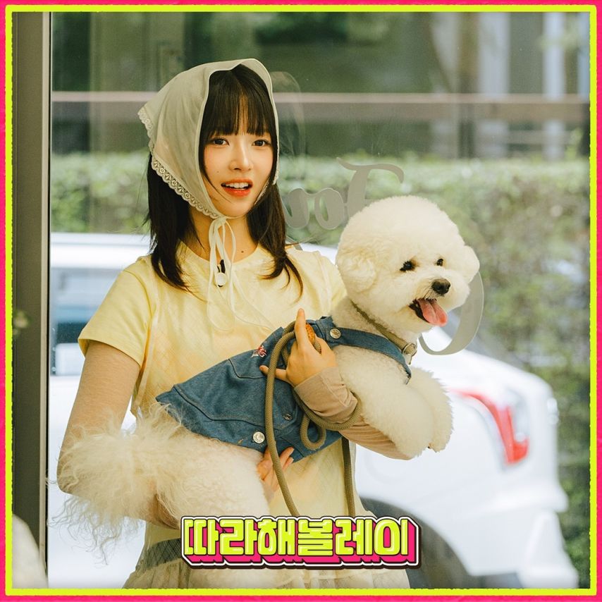 아이브 레이