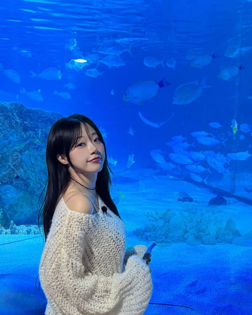 시그니처 지원 인스타