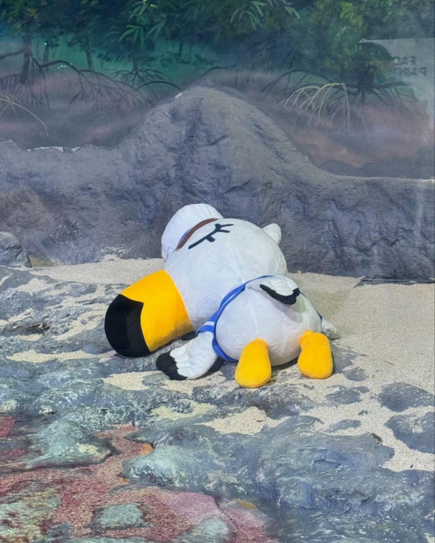 시그니처 지원 인스타