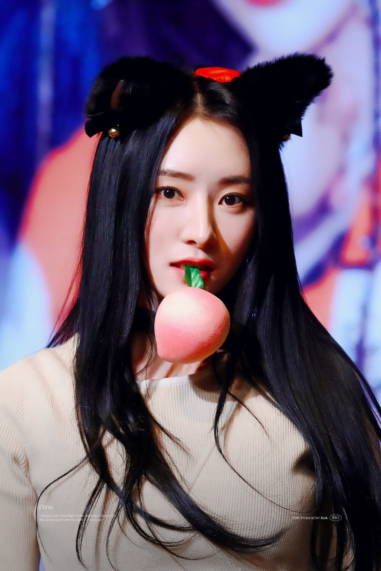 드림캐쳐 수아