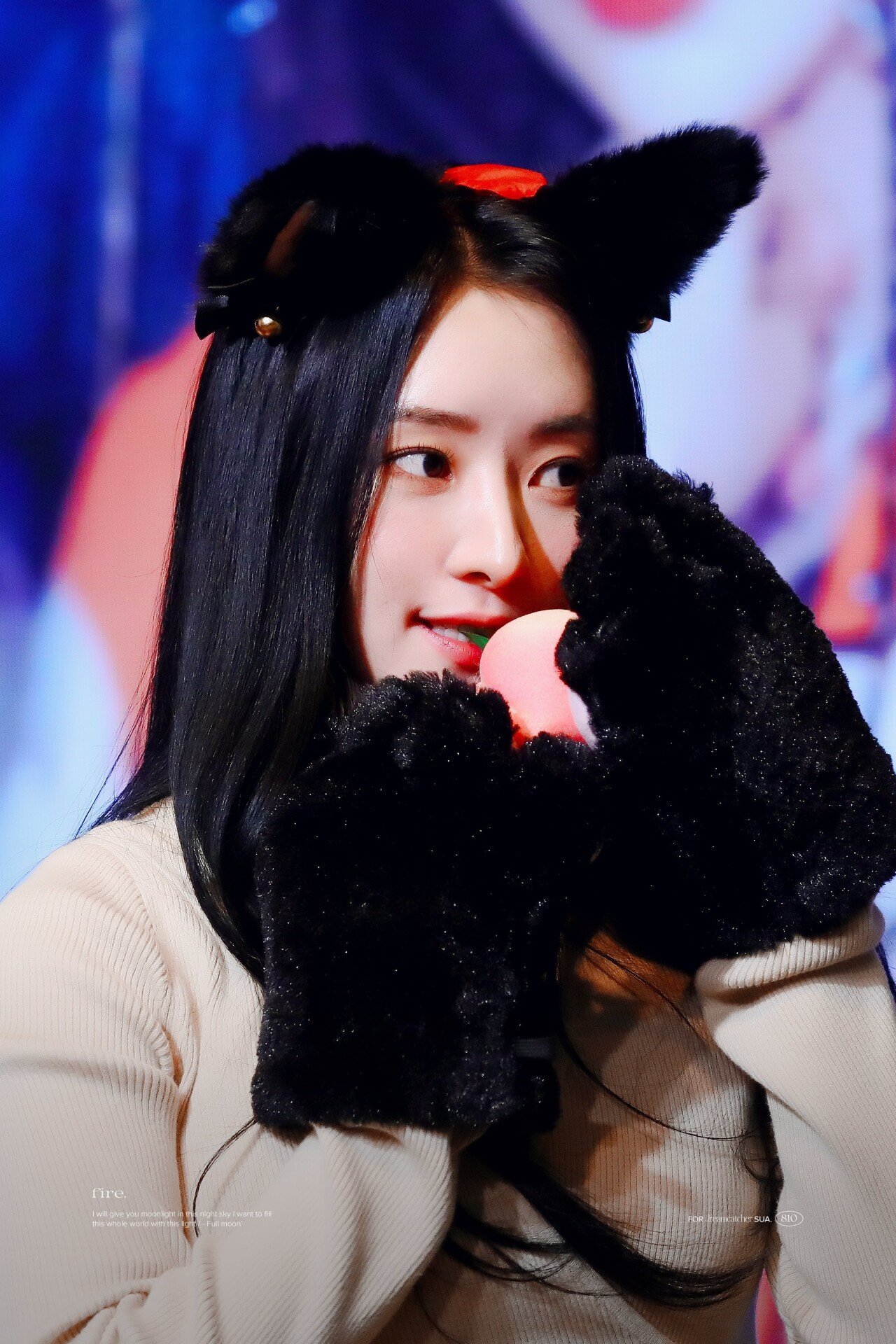 드림캐쳐 수아