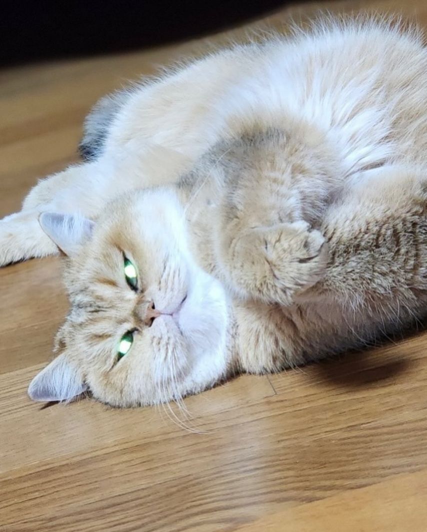 슬기 레드벨벳 인별