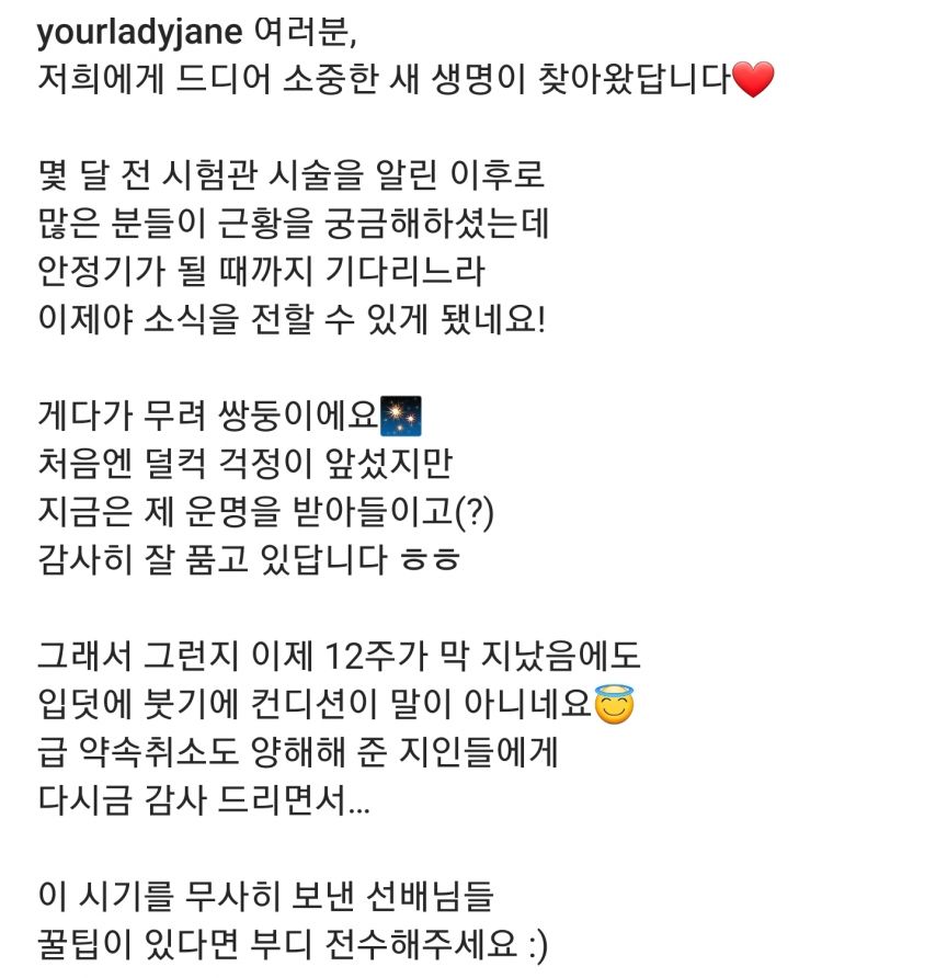 가수 레이디제인 쌍둥이 임신 발표 [정보글]