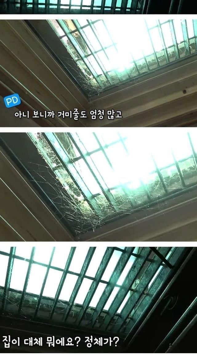 서울 반지하 레전드 ㄷㄷㄷ