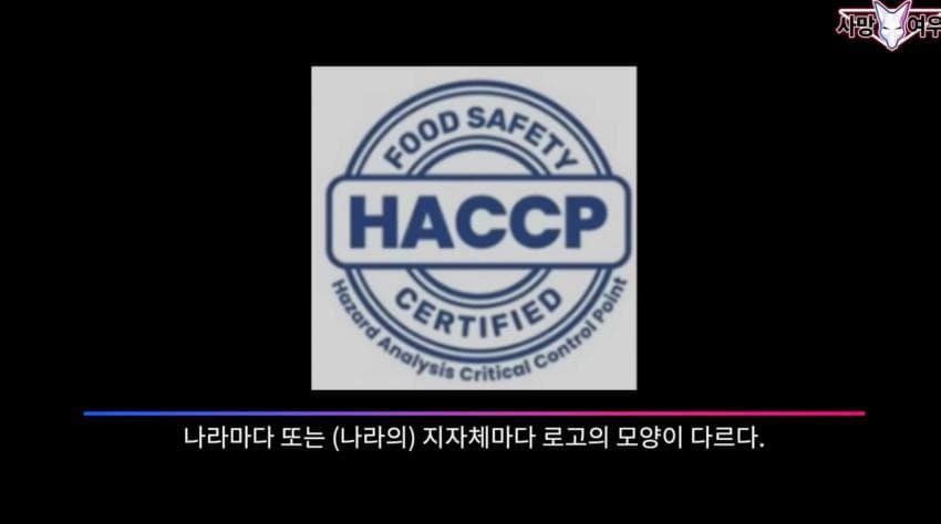사망 여우 이번 영상 ㅈㄴ 얼탱이 없네