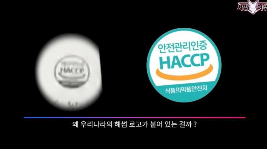 사망 여우 이번 영상 ㅈㄴ 얼탱이 없네