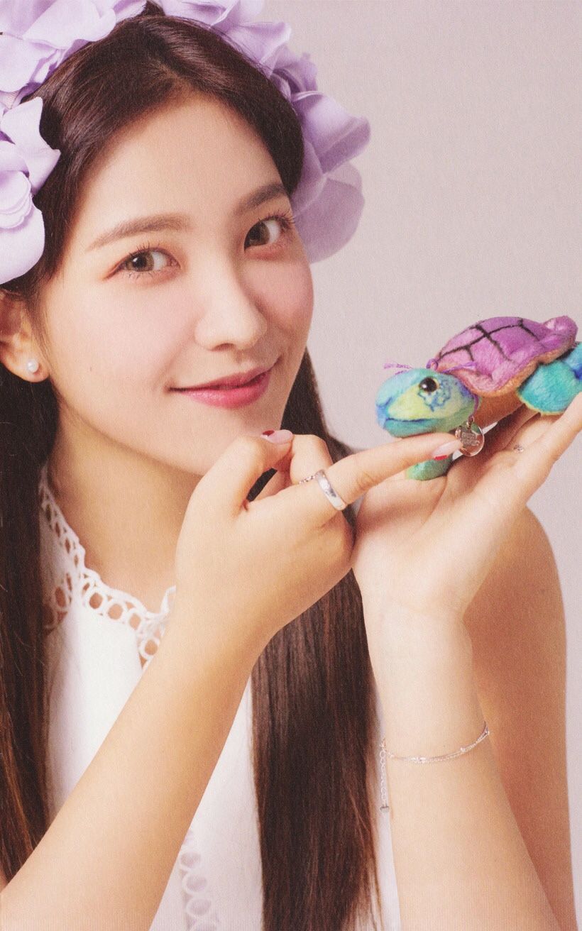 레드벨벳 예리