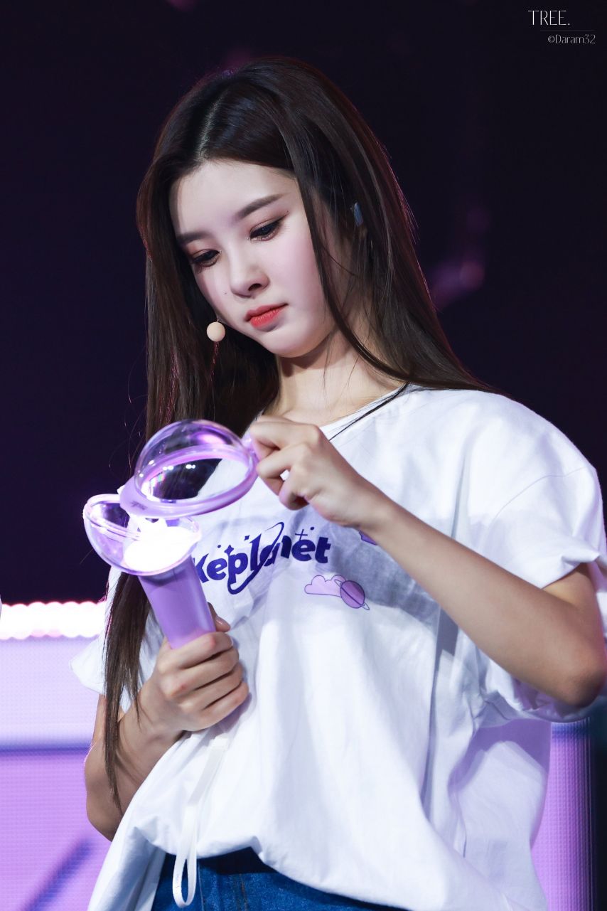 케플러 김다연