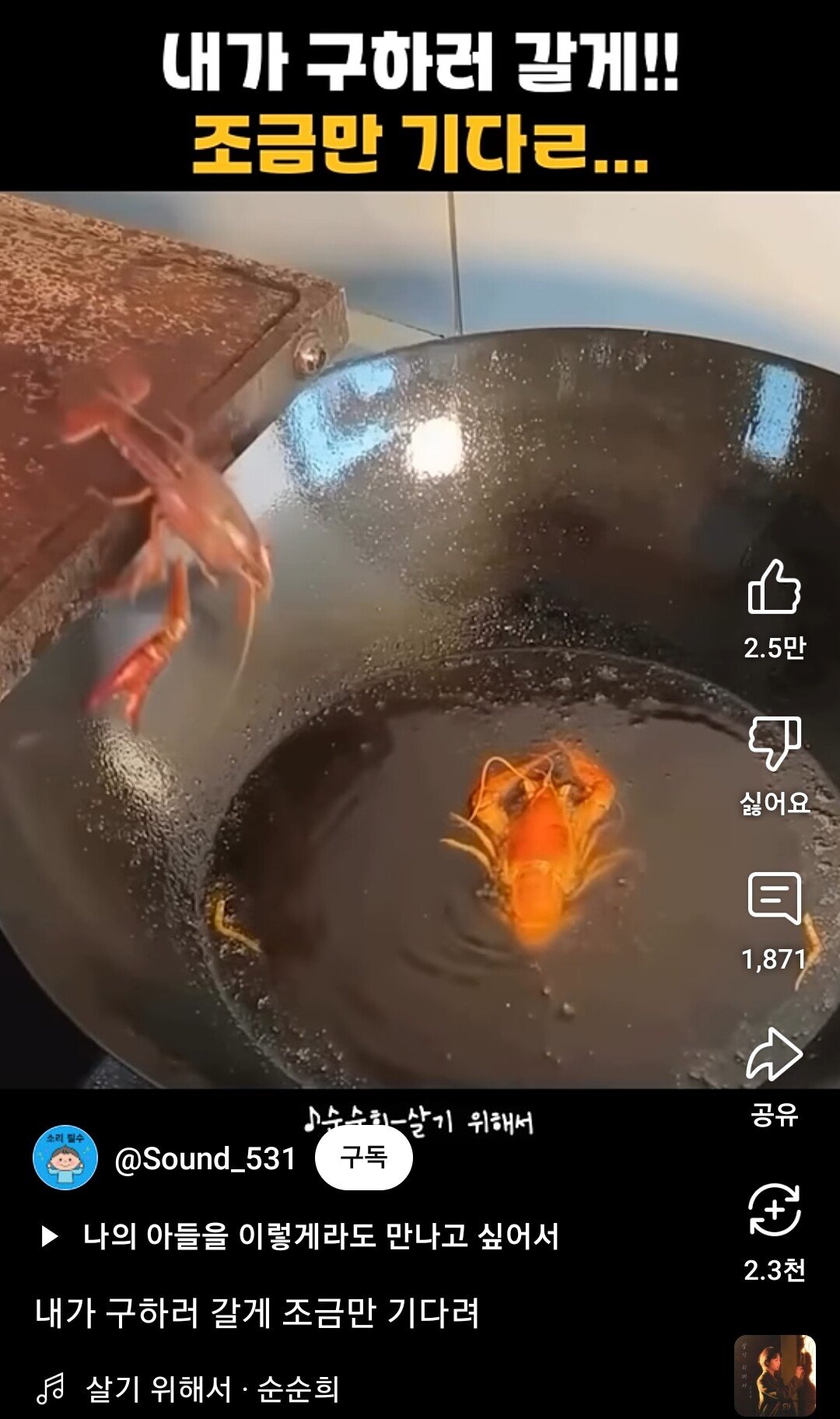 순순희 바이럴 근황