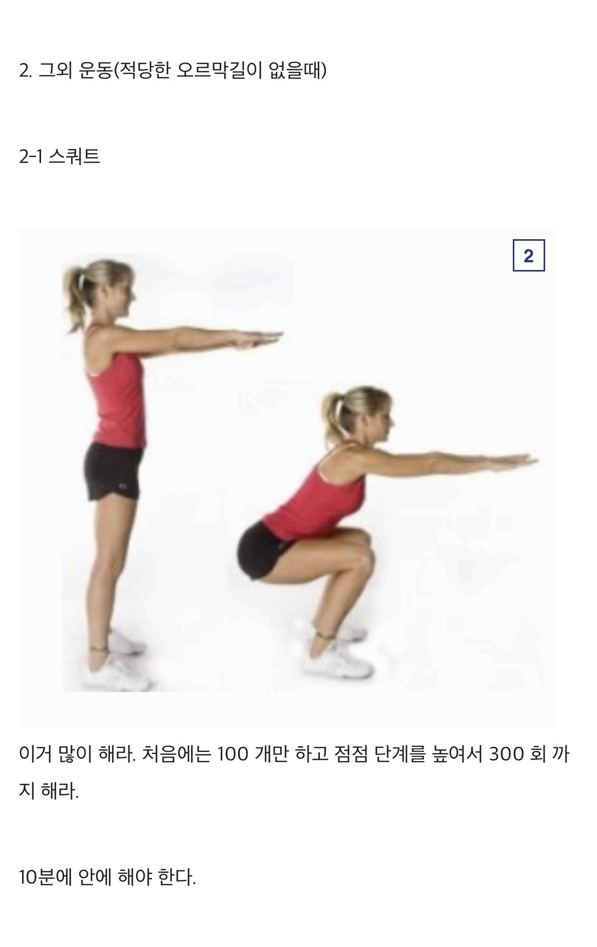 디시인의 파워ㅅㅅ를 위한 운동