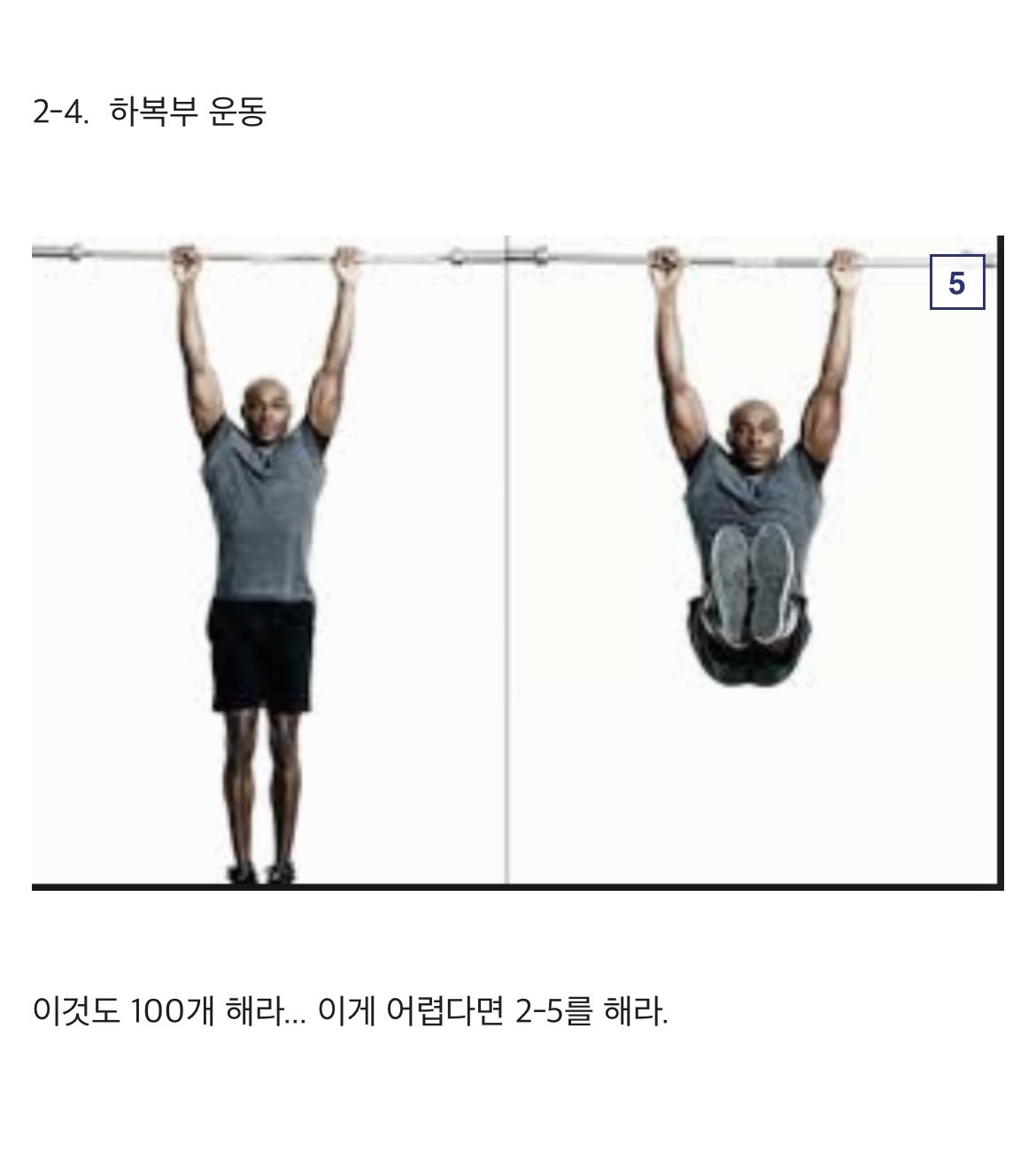 디시인의 파워ㅅㅅ를 위한 운동