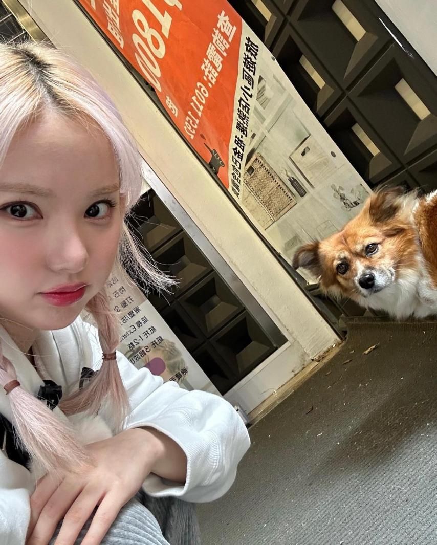 비비지 은하