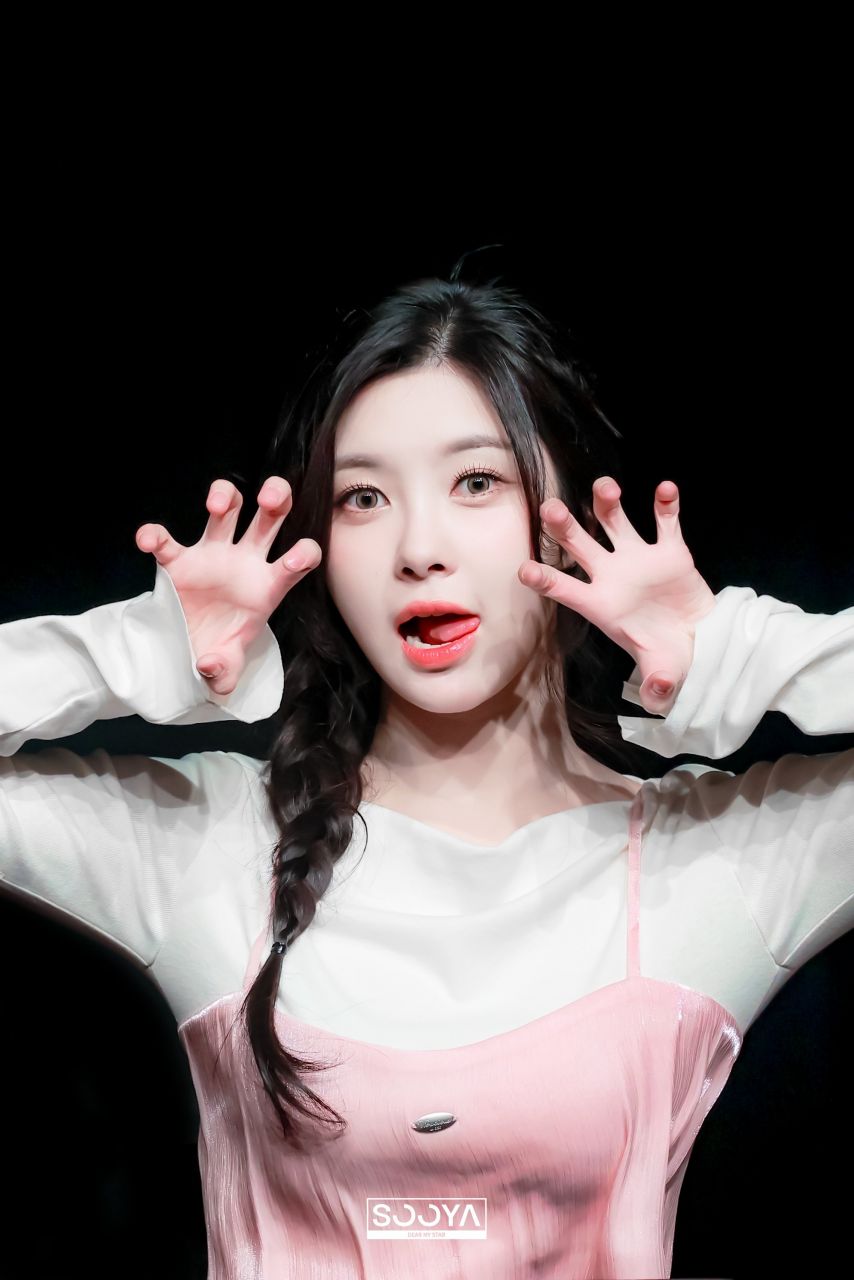 케플러 김다연