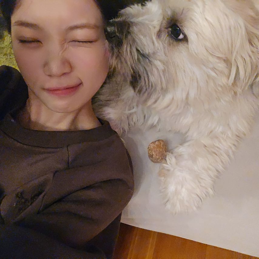 르세라핌 김채원,허윤진,카즈하