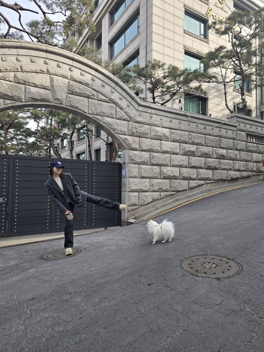 르세라핌 김채원,허윤진,카즈하