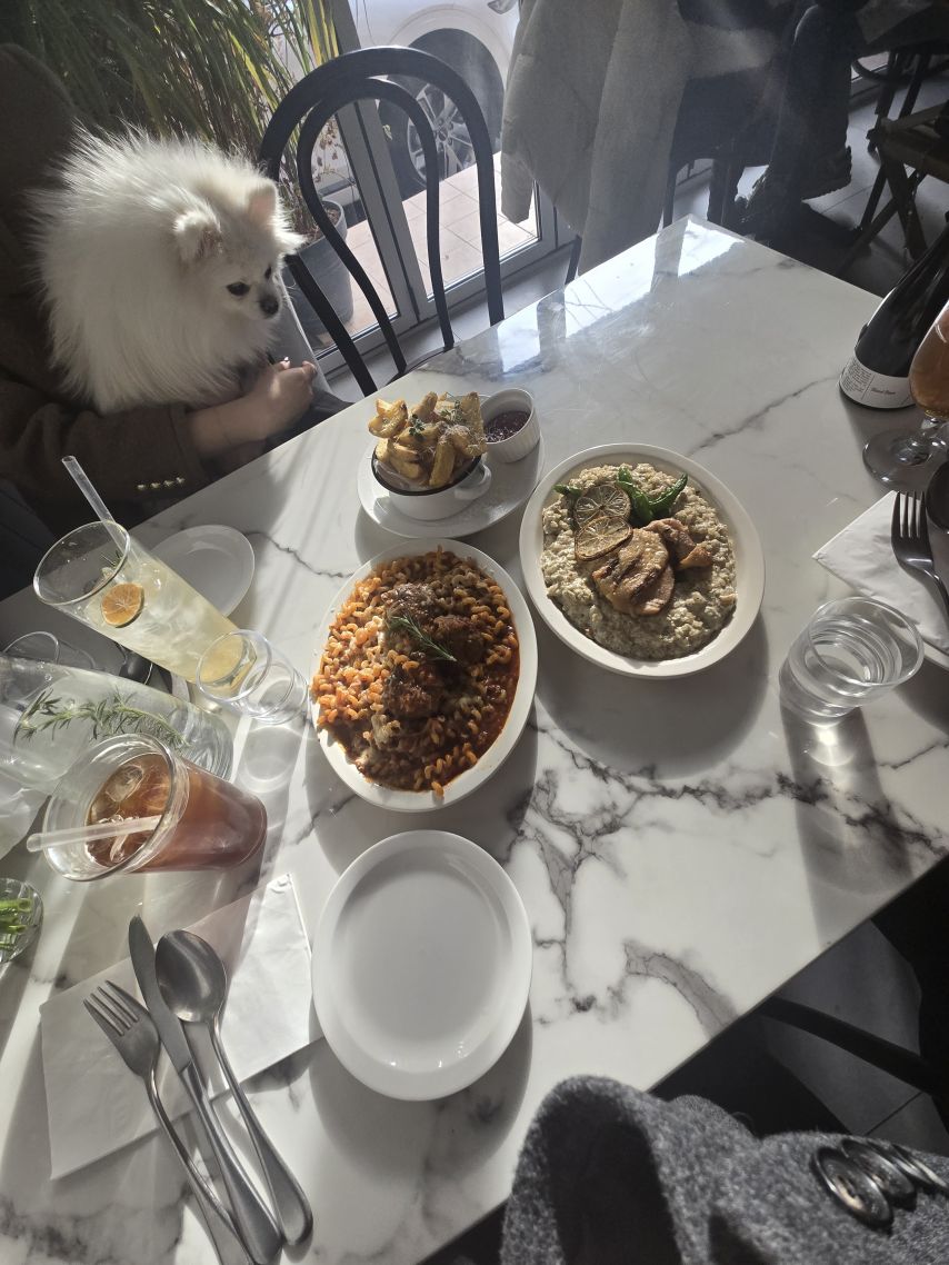 르세라핌 김채원,허윤진,카즈하