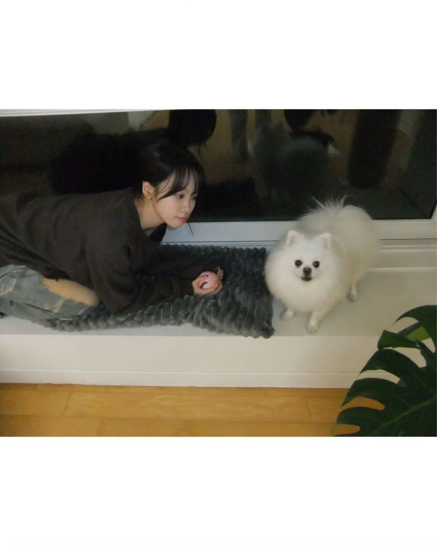 르세라핌 김채원