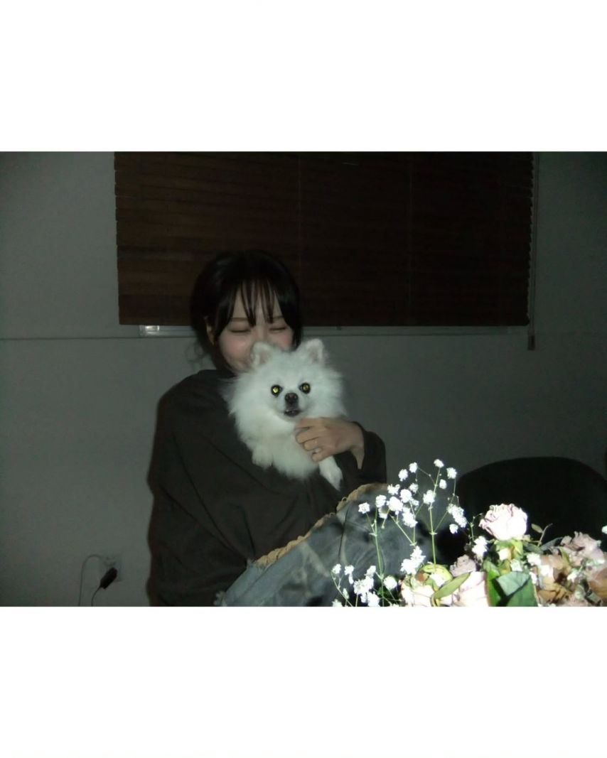 르세라핌 김채원
