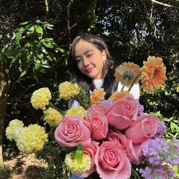 앨리스 연제