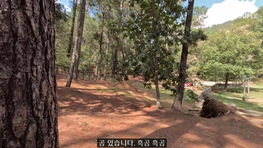 한국인 유튜버가 멕시코 별장 갔다가 생긴 일
