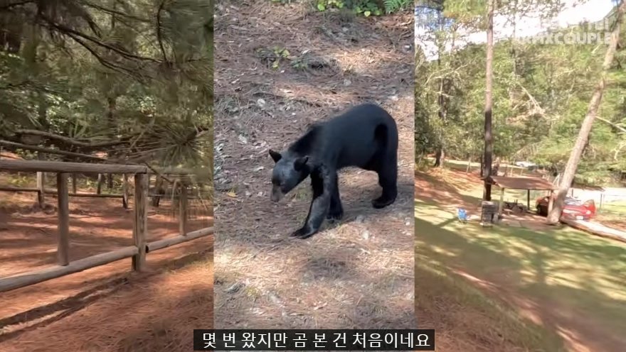 한국인 유튜버가 멕시코 별장 갔다가 생긴 일
