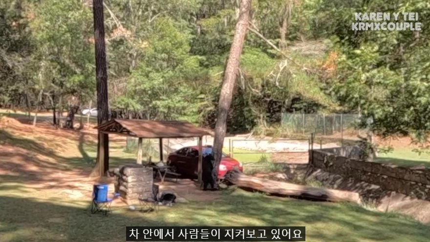 한국인 유튜버가 멕시코 별장 갔다가 생긴 일