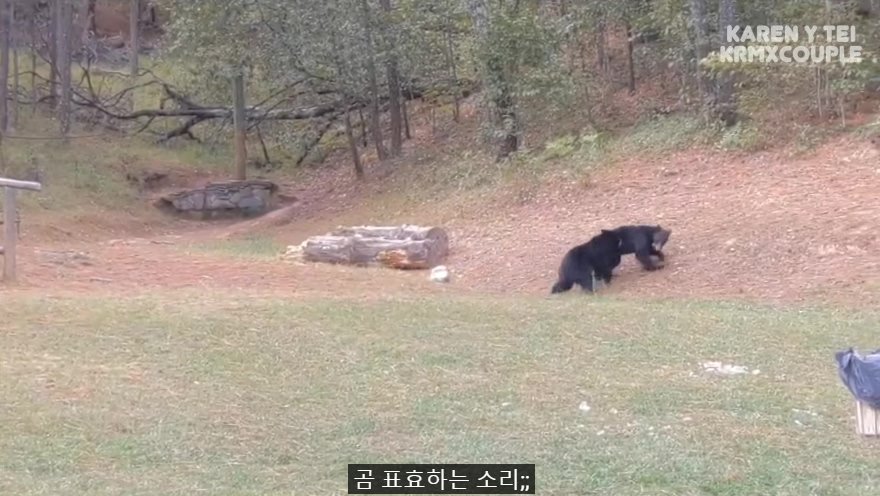 한국인 유튜버가 멕시코 별장 갔다가 생긴 일