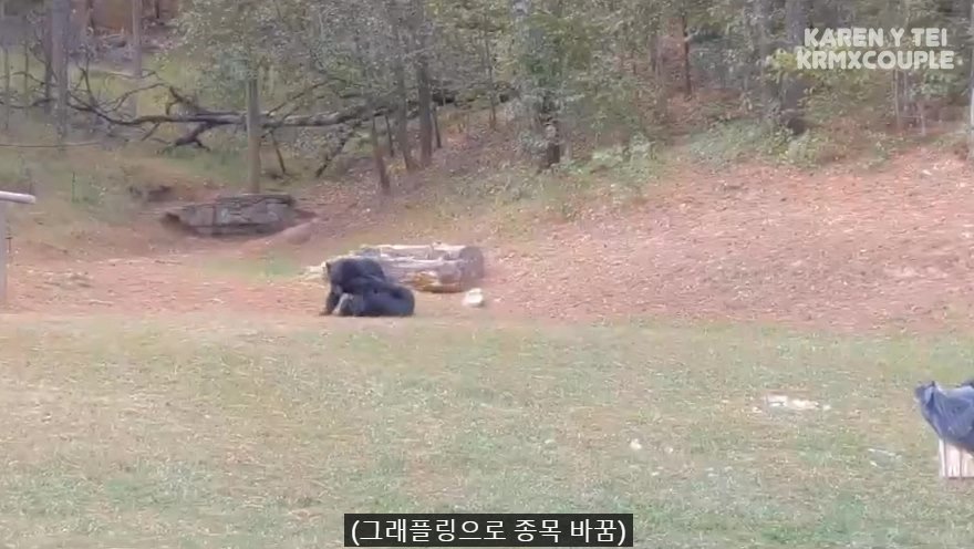 한국인 유튜버가 멕시코 별장 갔다가 생긴 일
