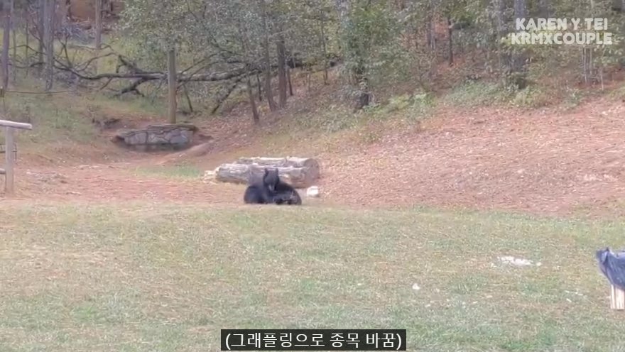 한국인 유튜버가 멕시코 별장 갔다가 생긴 일