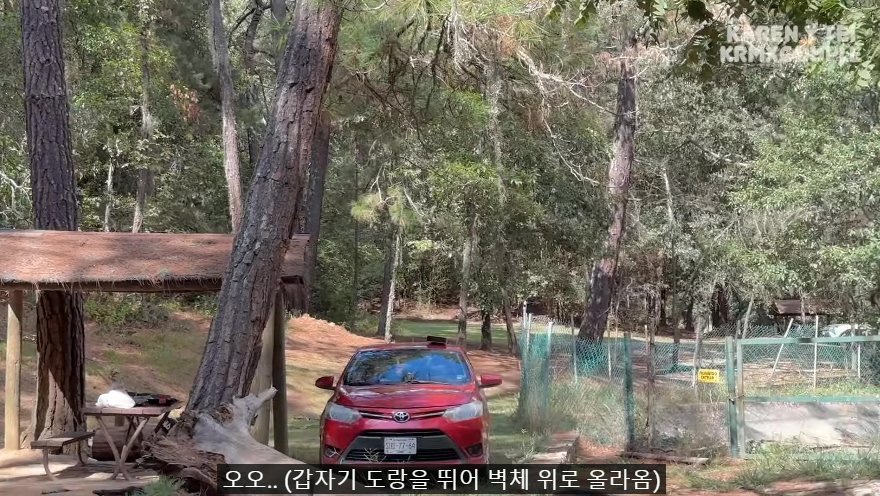 한국인 유튜버가 멕시코 별장 갔다가 생긴 일