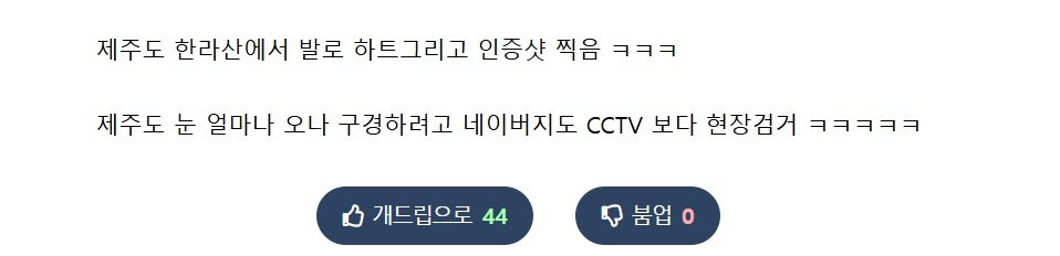 제주도 어느 커플의 발각된 애정행각 ㄷㄷㄷ