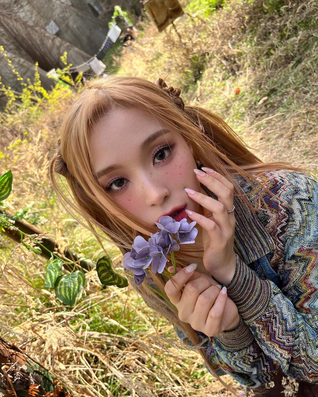 드림캐쳐 가현