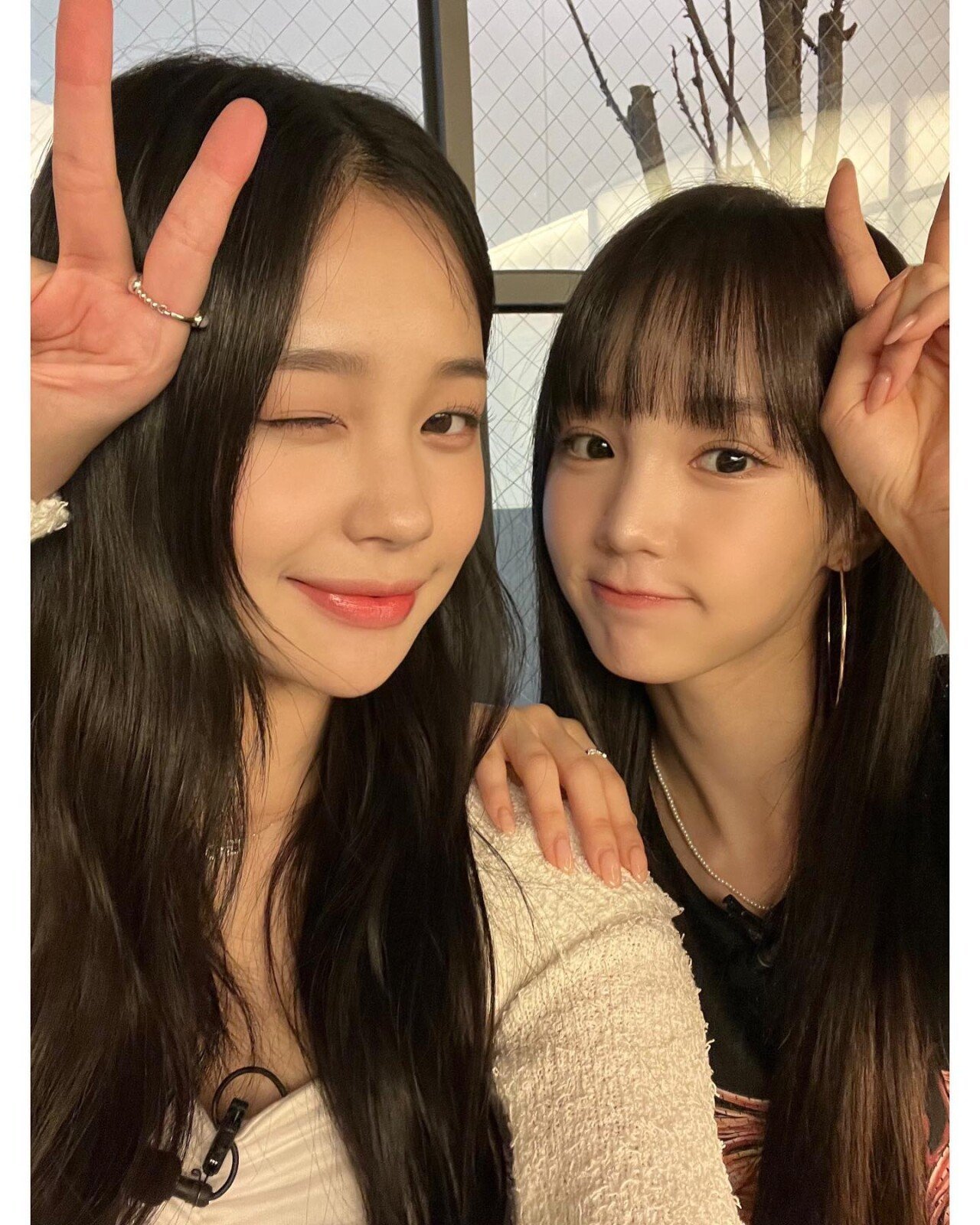 위클리 지한