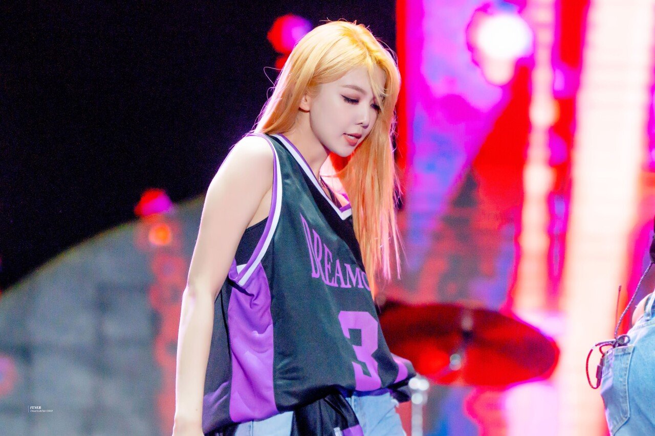 드림캐쳐 다미