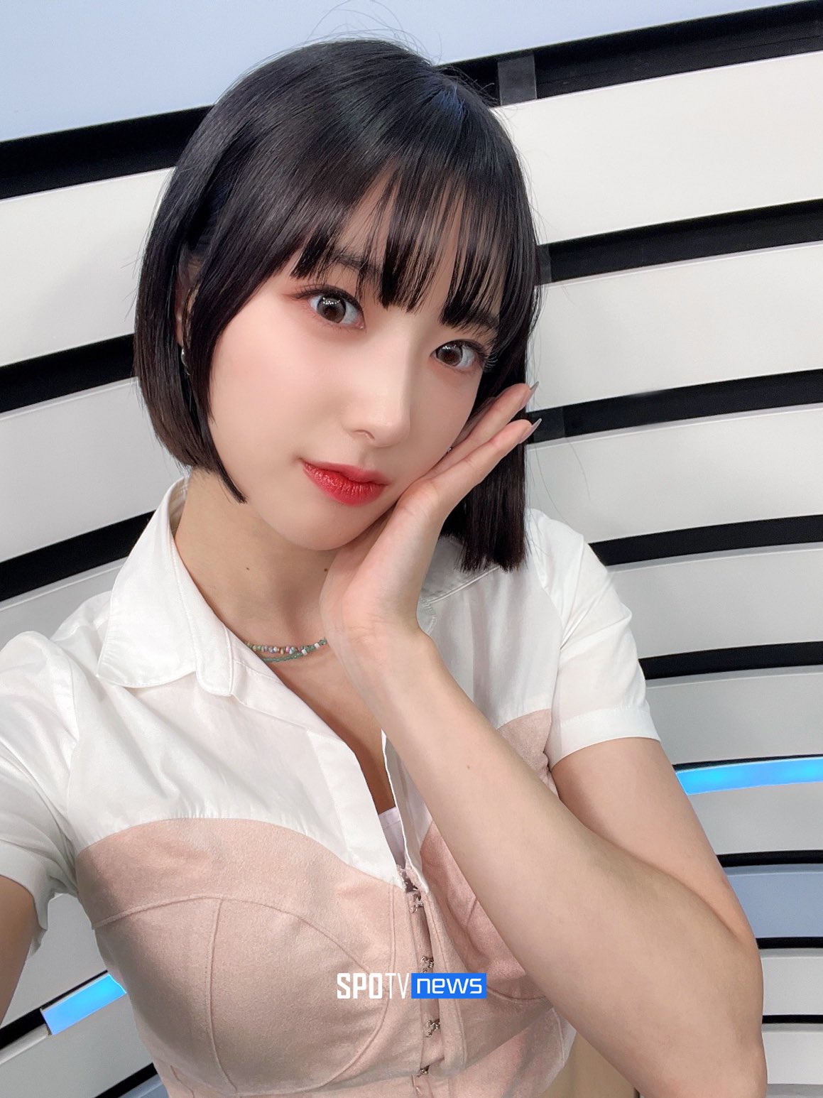 하이키